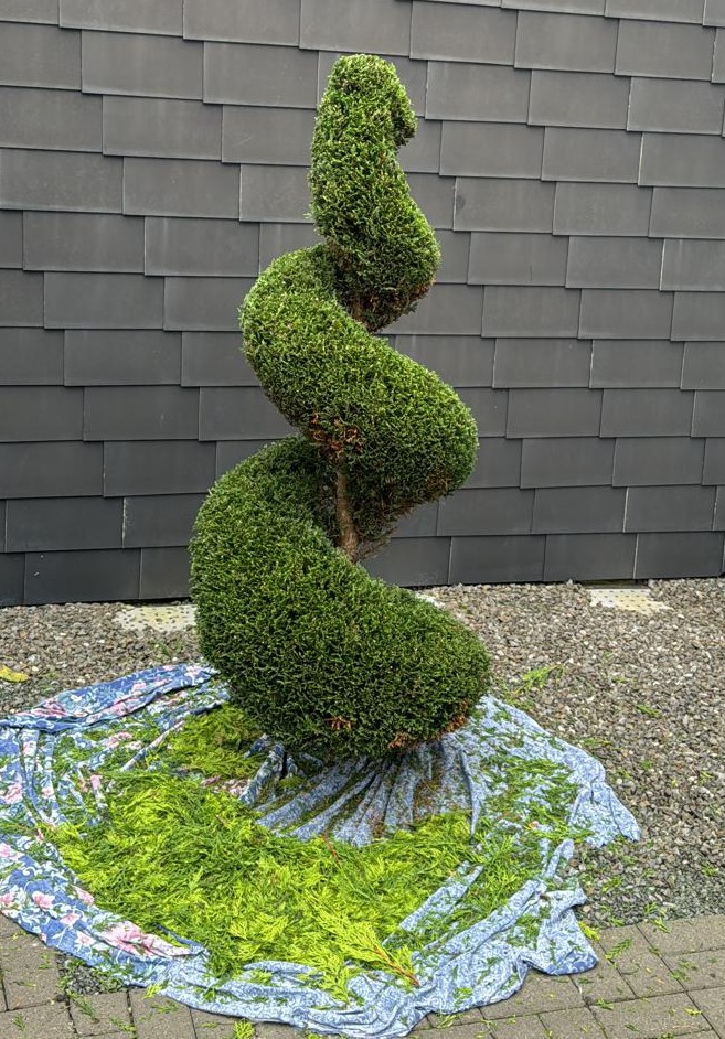 Fachgerechte Gartenarbeit